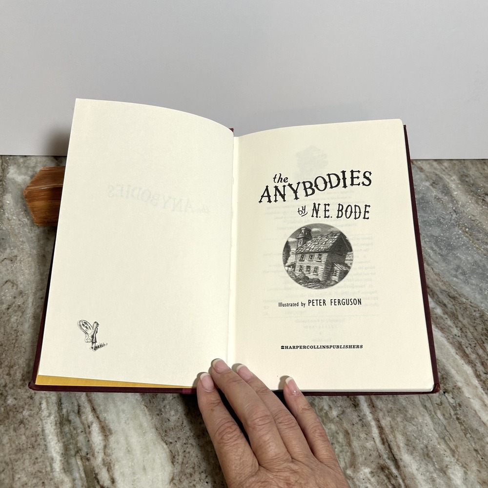 The Anybodies by N. E. Bode Hardcover First Edition Juvenile Fiction 2004